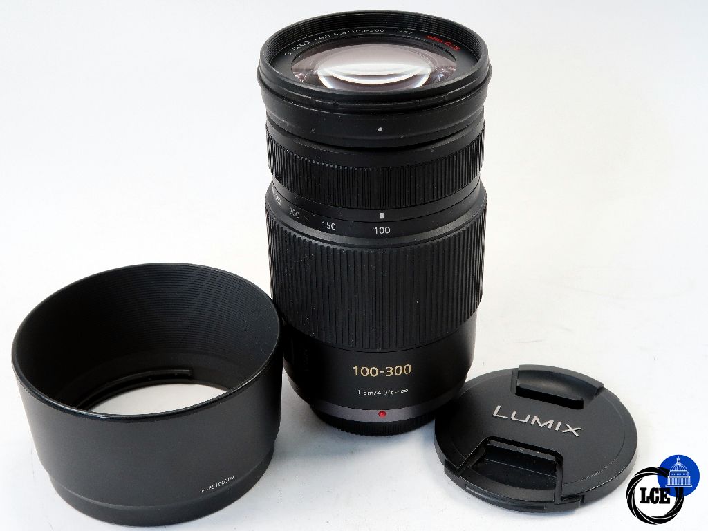 Panasonic MFT 100-300mm F4-5.6 Mega O.I.S. Panasonic MFT 100-300mm F4-5.6 Mega O.I.S.