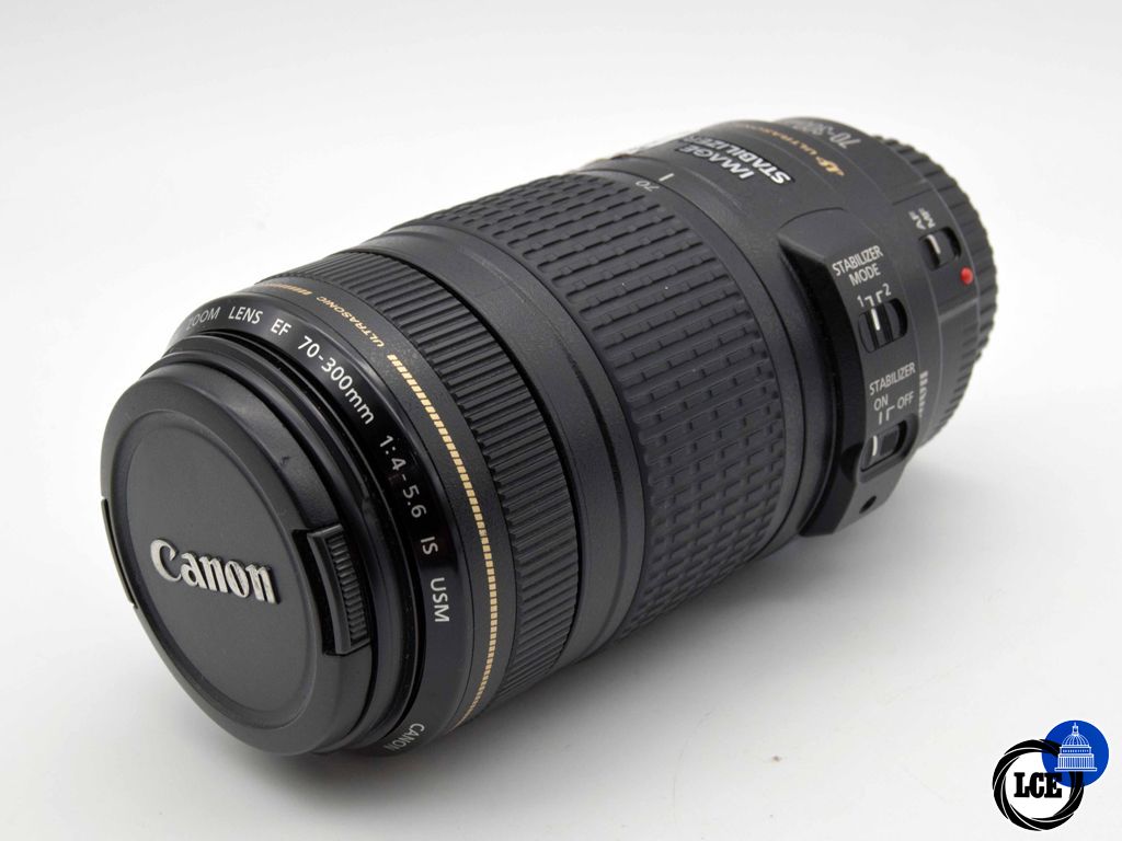Canon EF 70-300mm f/4-5.6 IS USM (slightly noisy MF ring action)
