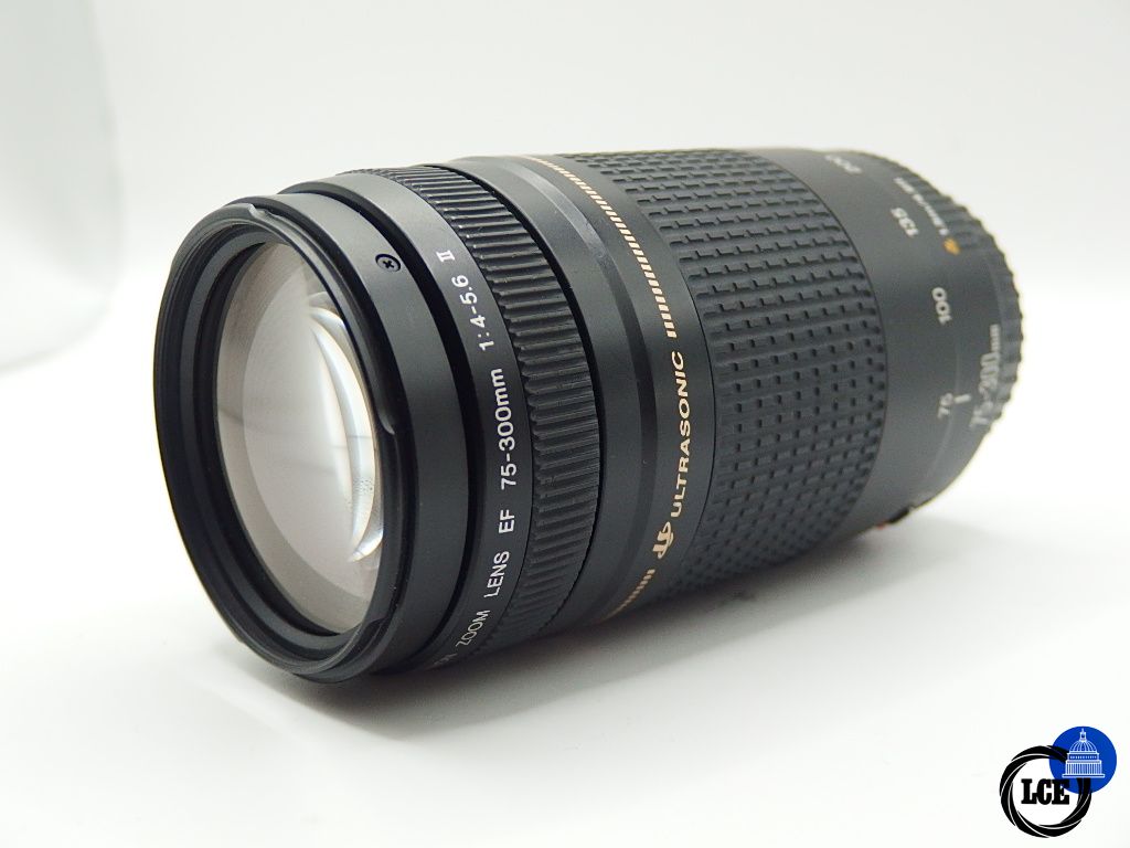 Canon EF 75-300mm f4-5.6 II