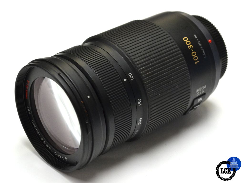 Panasonic Lumix 100-300mm F4-5.6