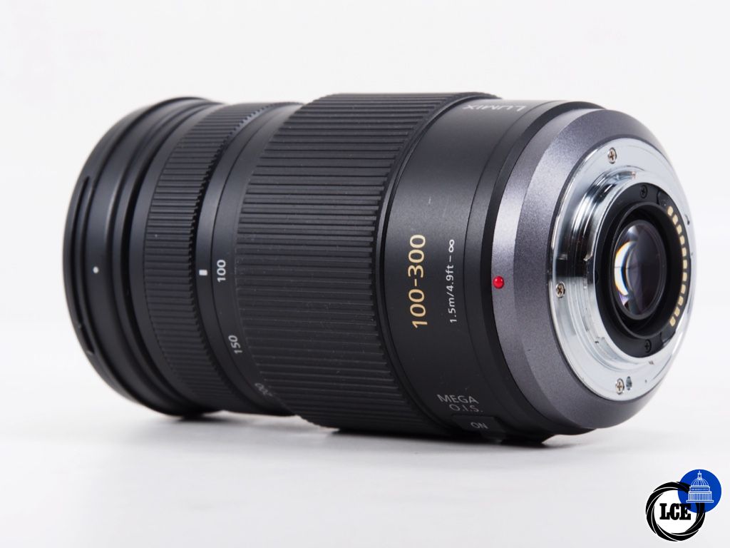 Panasonic 100-300mm F4-5.6 OIS