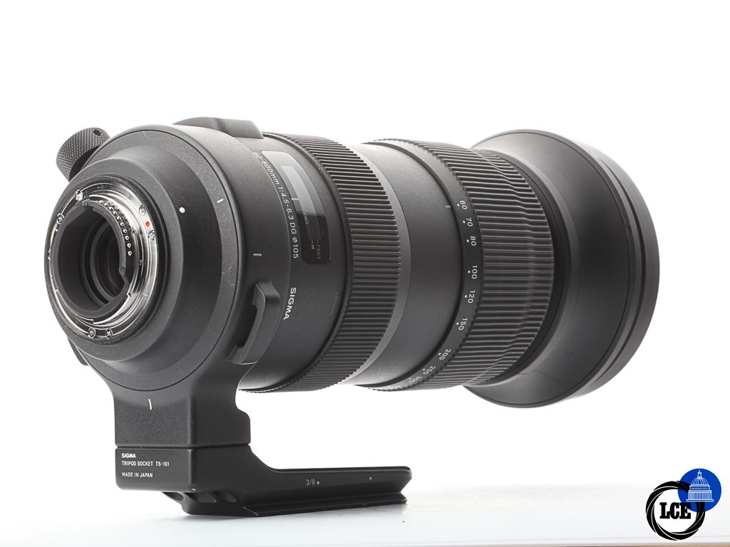 Sigma 60-600mm f/4.5-6.3 DG Sport | 10113341