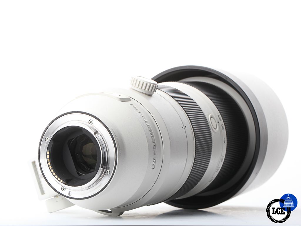 Sony FE 200-600MM | 10113659