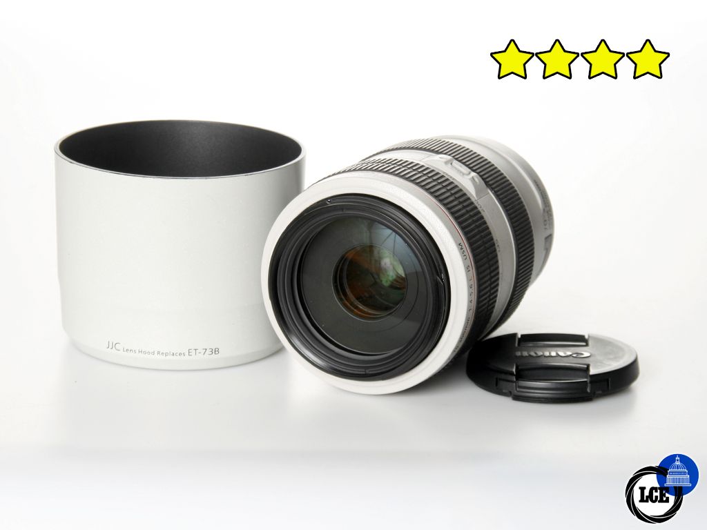 Canon EF 70-300mm f/4-5.6 L IS USM