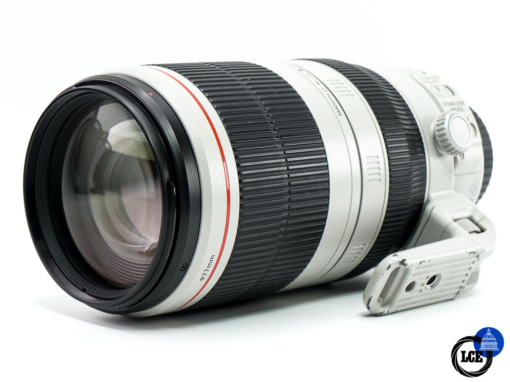 Canon EF 100-400mm f4.5-5.6 L IS USM MKII