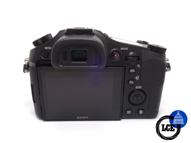 Sony RX10 (Mark 1)