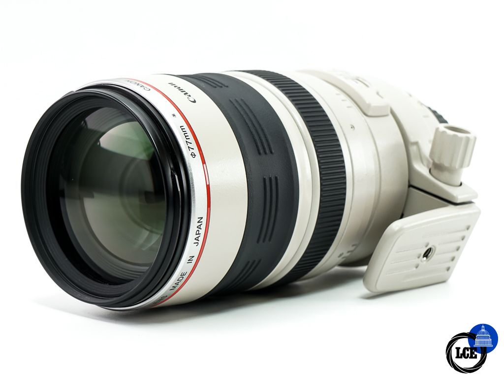 Canon EF 100-400mm f4.5-5.6 L IS USM