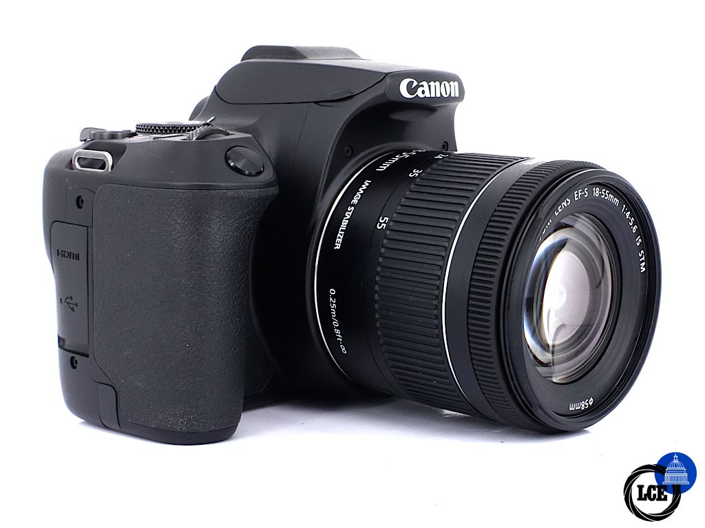 Canon EOS 250D + EF-S 18-55mm F4-5.6 IS STM | 5*