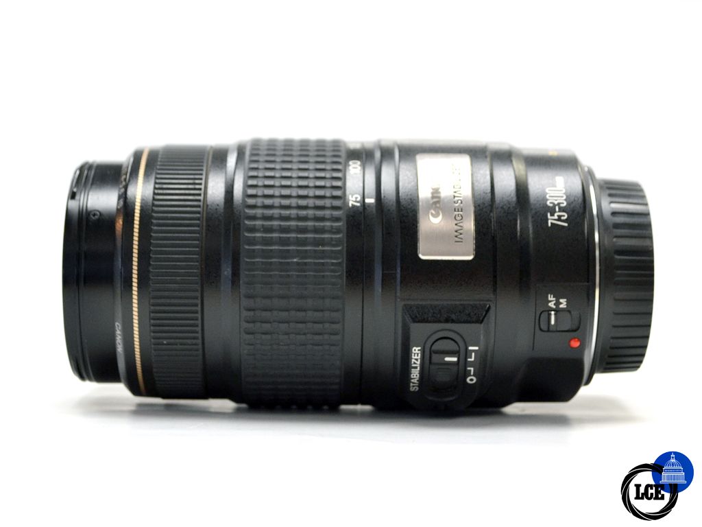 Canon EF 75-300mm IS F4-5.6