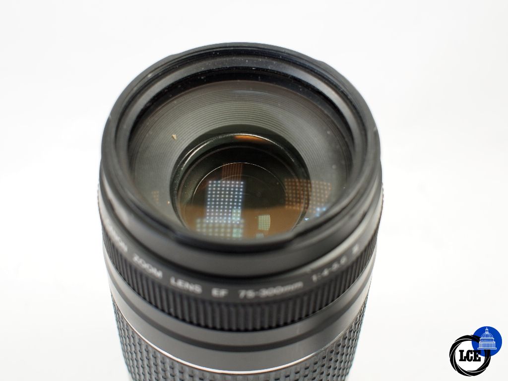 Canon EF 75-300mm f4-5.6 III