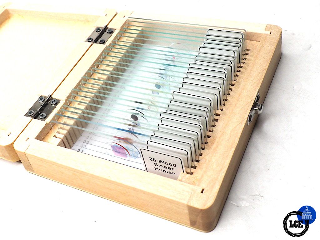 Celestron Prepared Specimen Slide Set