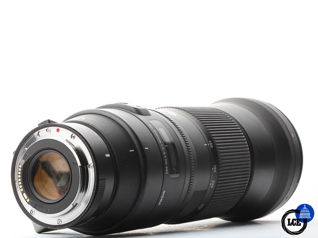 Sigma 150-600mm f/5-6.3 DG + Sigma TC-1401 | 10113865