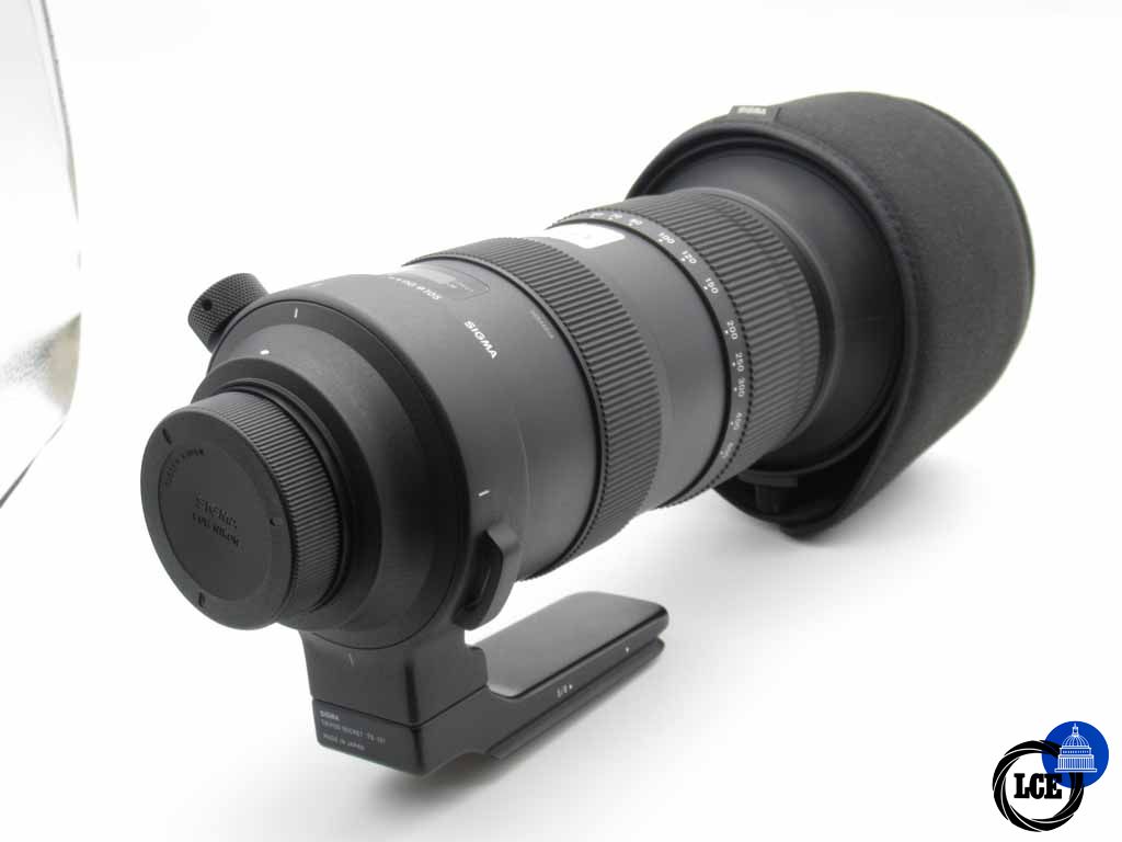 Sigma 60-600mm f/4.5-5.6 DG OS HSM Sport (Nikon AF)
