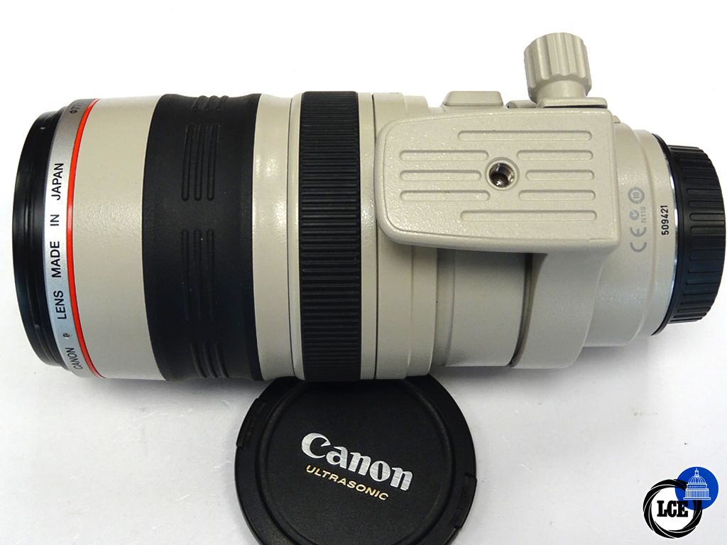 Canon EF 100-400mm F4.5-5.6 L IS