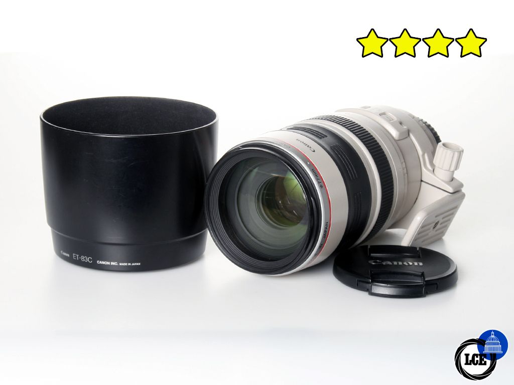 Canon EF 100-400mm f/4.5-5.6 L IS USM (with Hood)