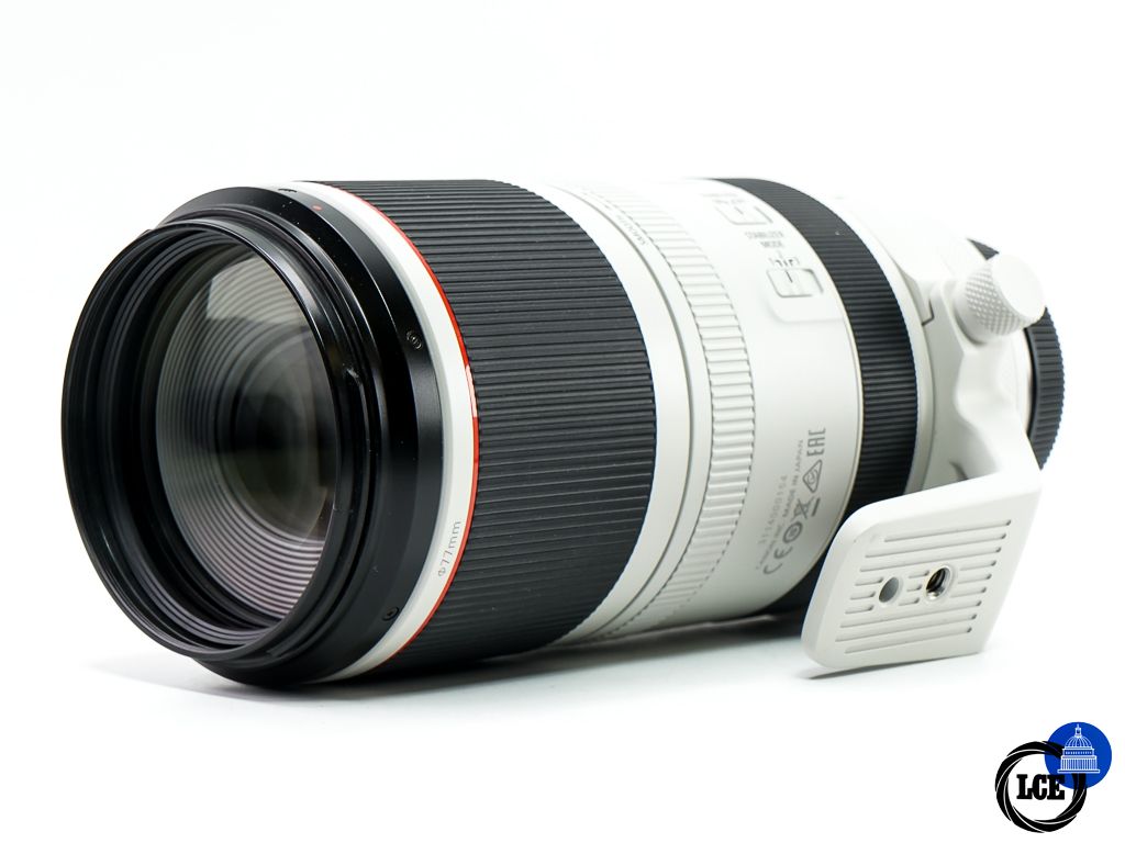 Canon RF 100-500mm F4.5-7.1 L IS USM