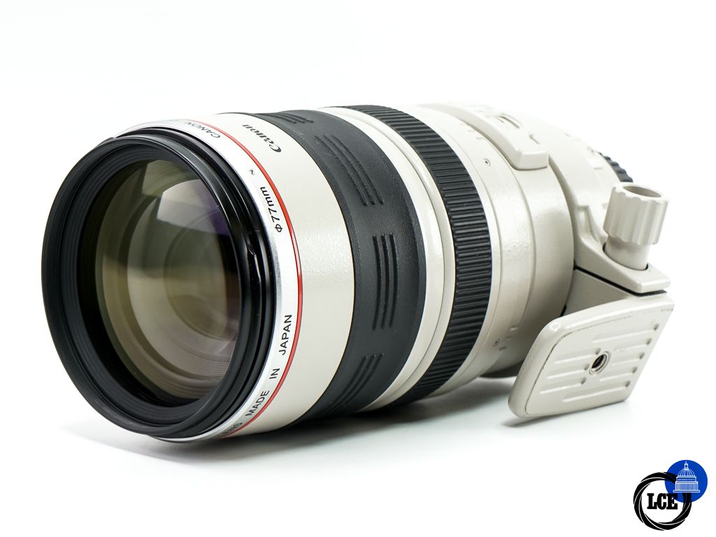 Canon EF 100-400mm f4.5-5.6 L IS USM