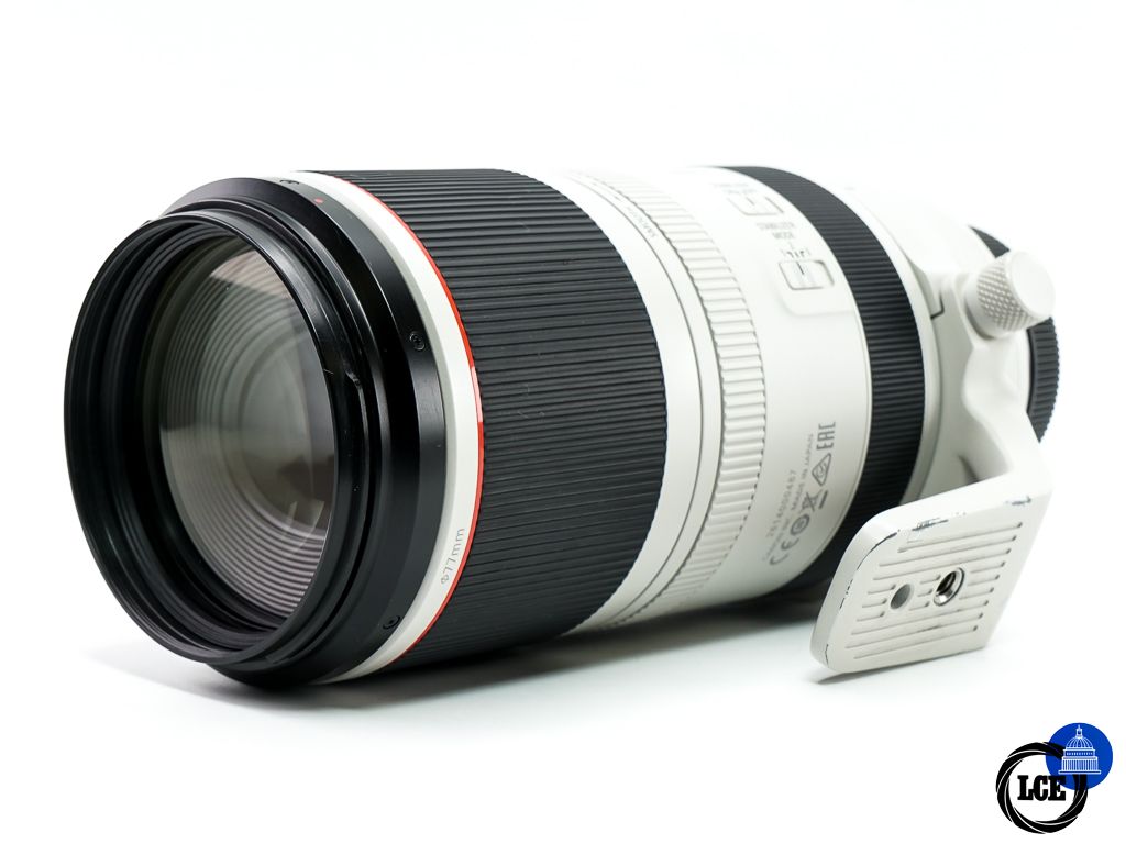 Canon RF 100-500mm f4.5-7.1 L IS USM