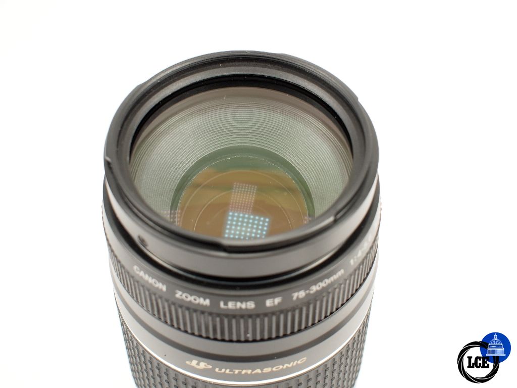 Canon EF 75-300mm f4-5.6 III USM