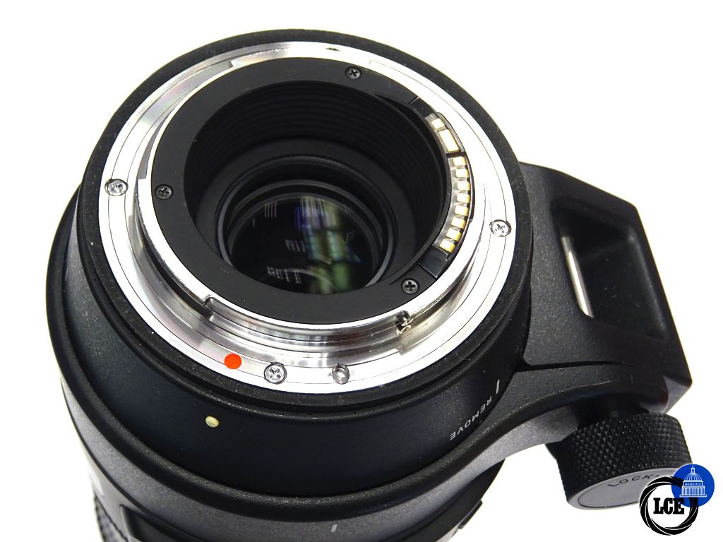 Sigma Sigms 150-600mm Canon Fit