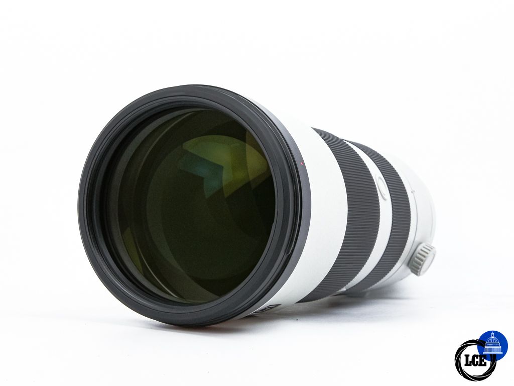 Sony FE 200-600mm f5.6-6.3 G OSS