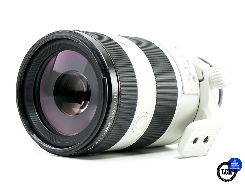 Sony FE 70-200mm F4 MACRO G OSS II