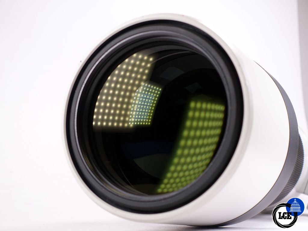 Sony 200-600mm G OSS