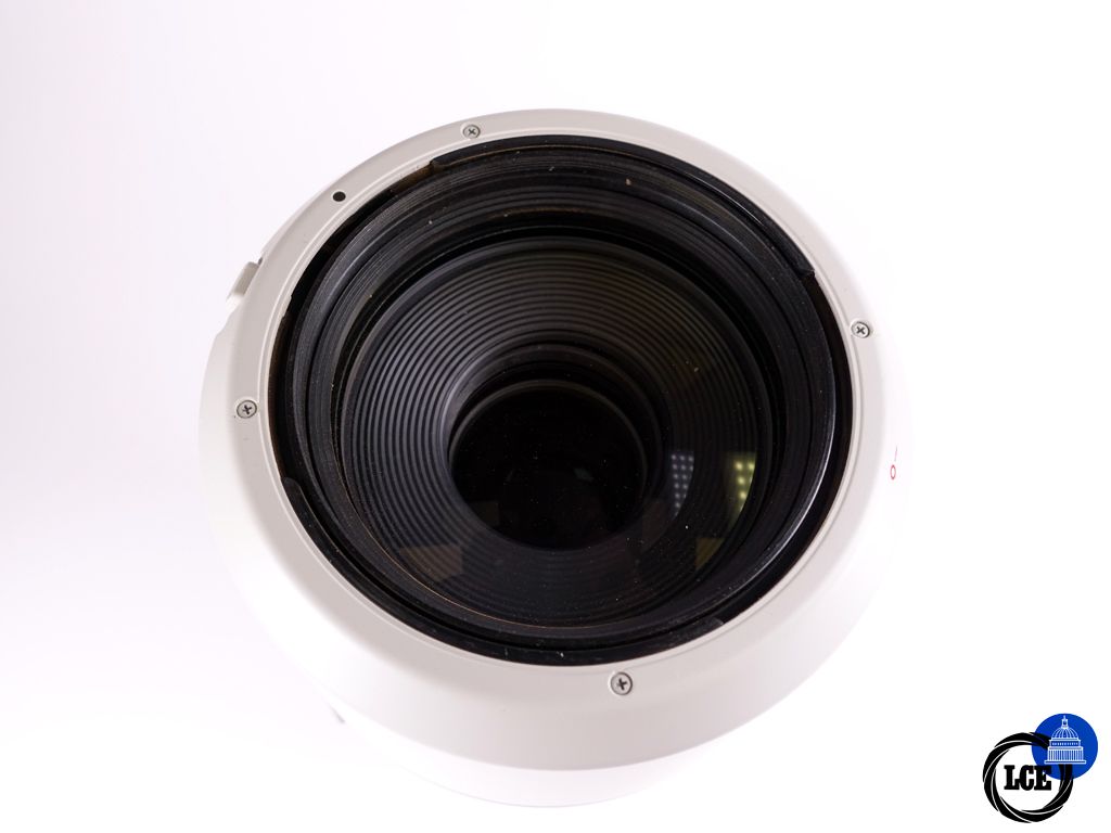 Canon RF 100-500mm F4.5-7.1 L
