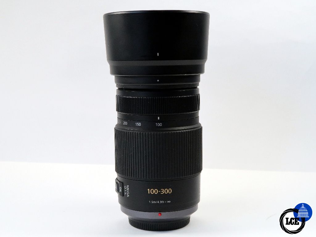 Panasonic MFT 100-300mm f4-5.6 Mega OIS Mk1