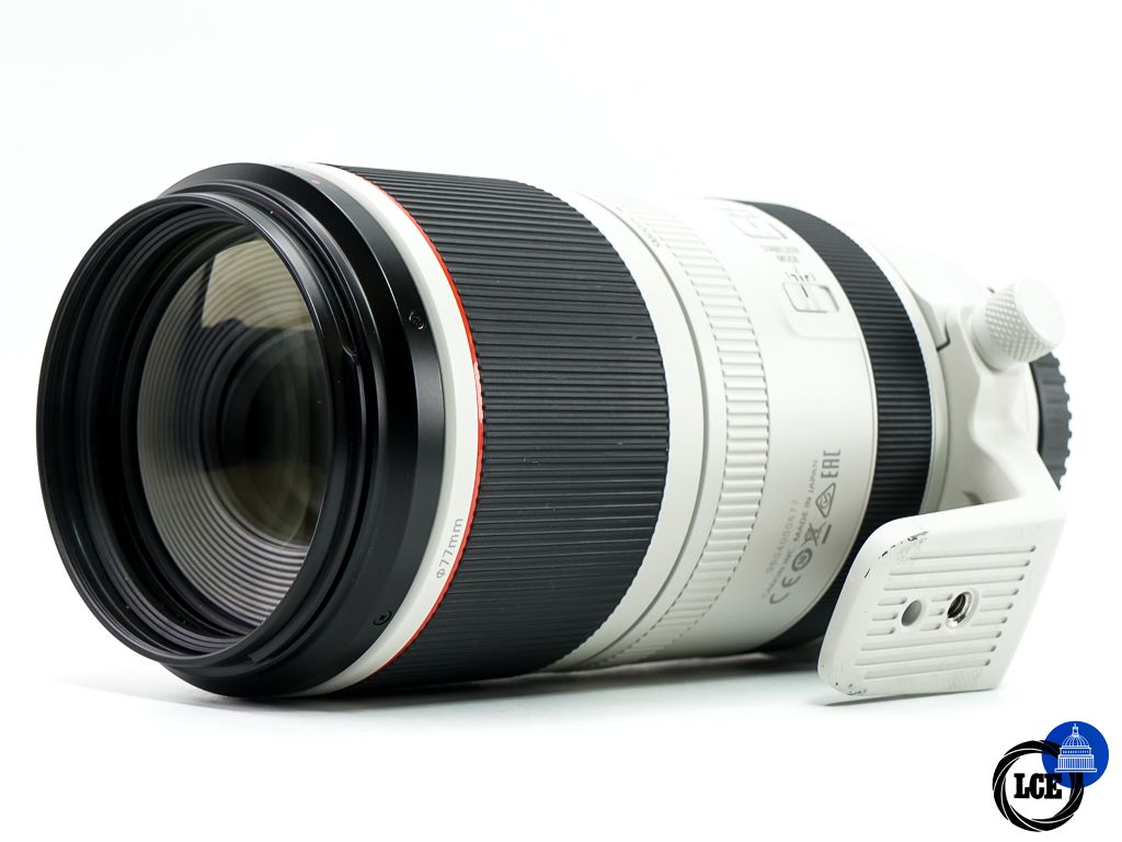 Canon RF 100-500mm F4.5-7.1 L IS USM