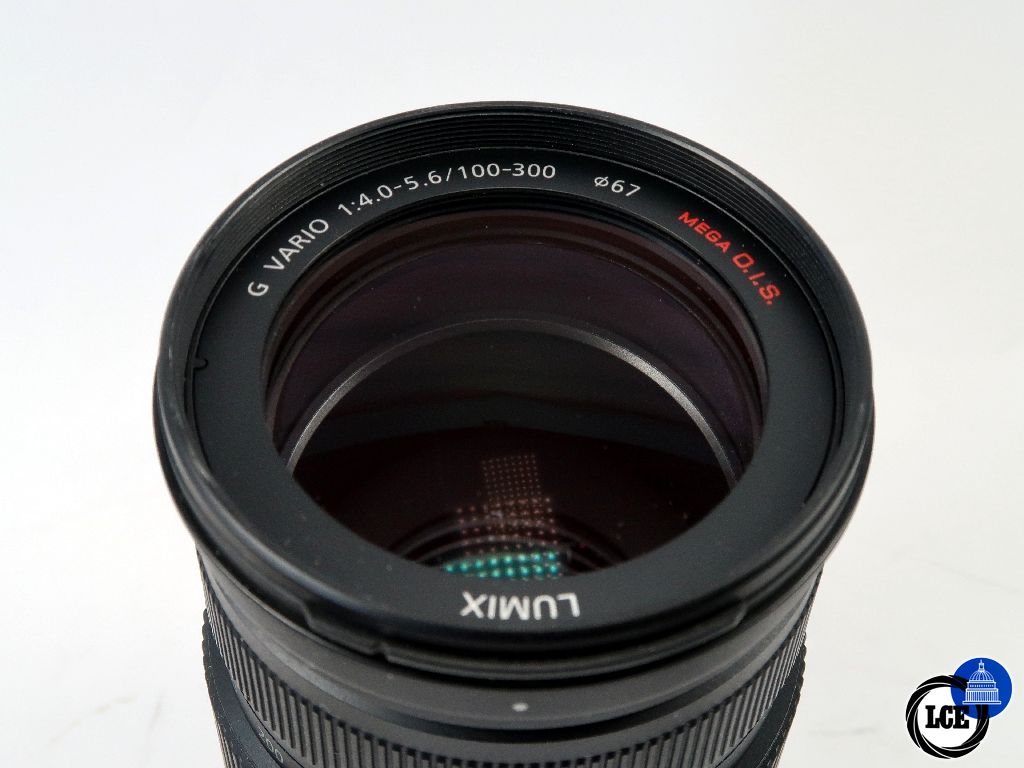 Panasonic MFT 100-300mm F4-5.6 Mega O.I.S.