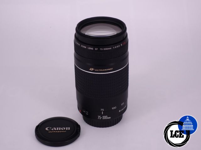 Canon EF 70-300mm F4-5.6 III USM