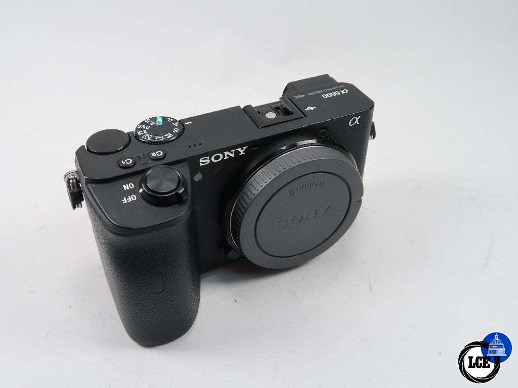 Sony A6600 