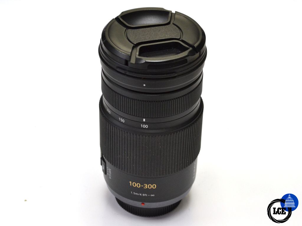 Panasonic Lumix 100-300mm F4-5.6