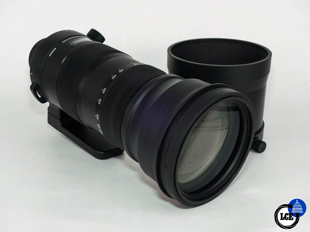 Sigma 150-600mm F5-6.3 DG Sport for Nikon F Mount