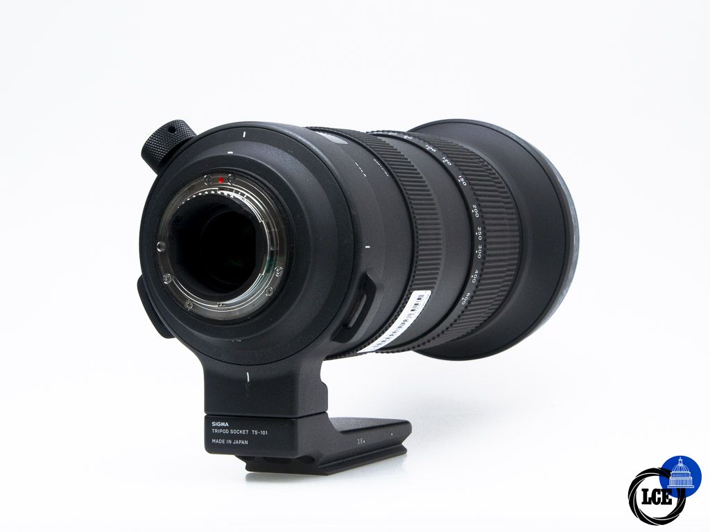 Sigma 60-600mm f/4.5-6.3 DG OS - Nikon F