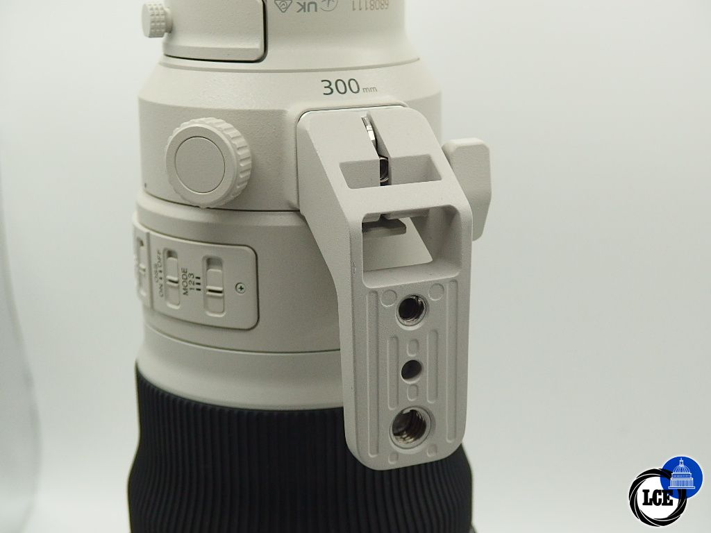 Sony FE 300mm F2.8 G M aster OSS