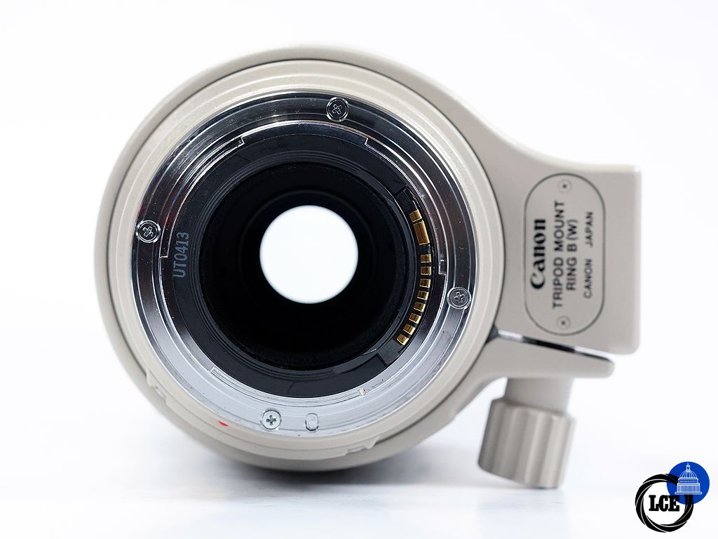 Canon EF 100-400mm f/4.5-5.6 L IS USM | 1276670