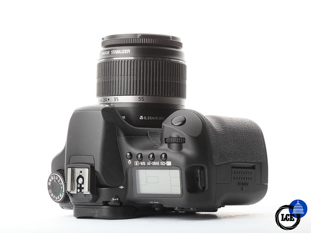 Canon 40D+18-55MM IS | 10113433