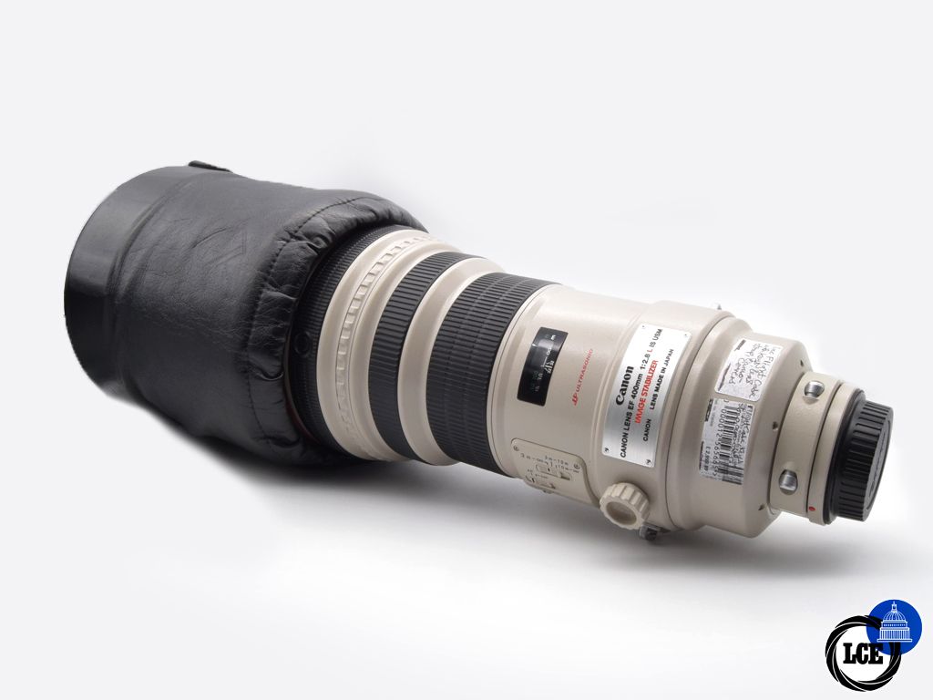 Canon EF 400mm f/2.8 L IS USM
