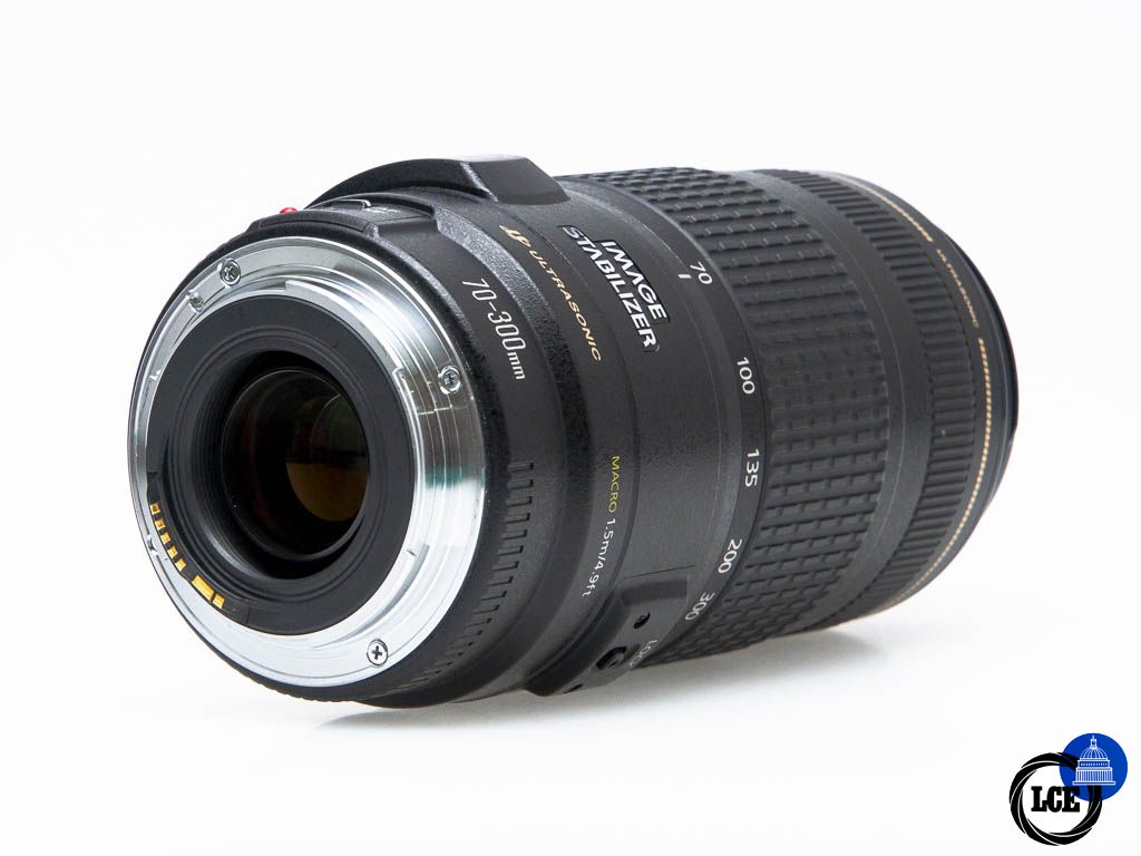 Canon EF 70-300mm f/4-5.6 IS USM 