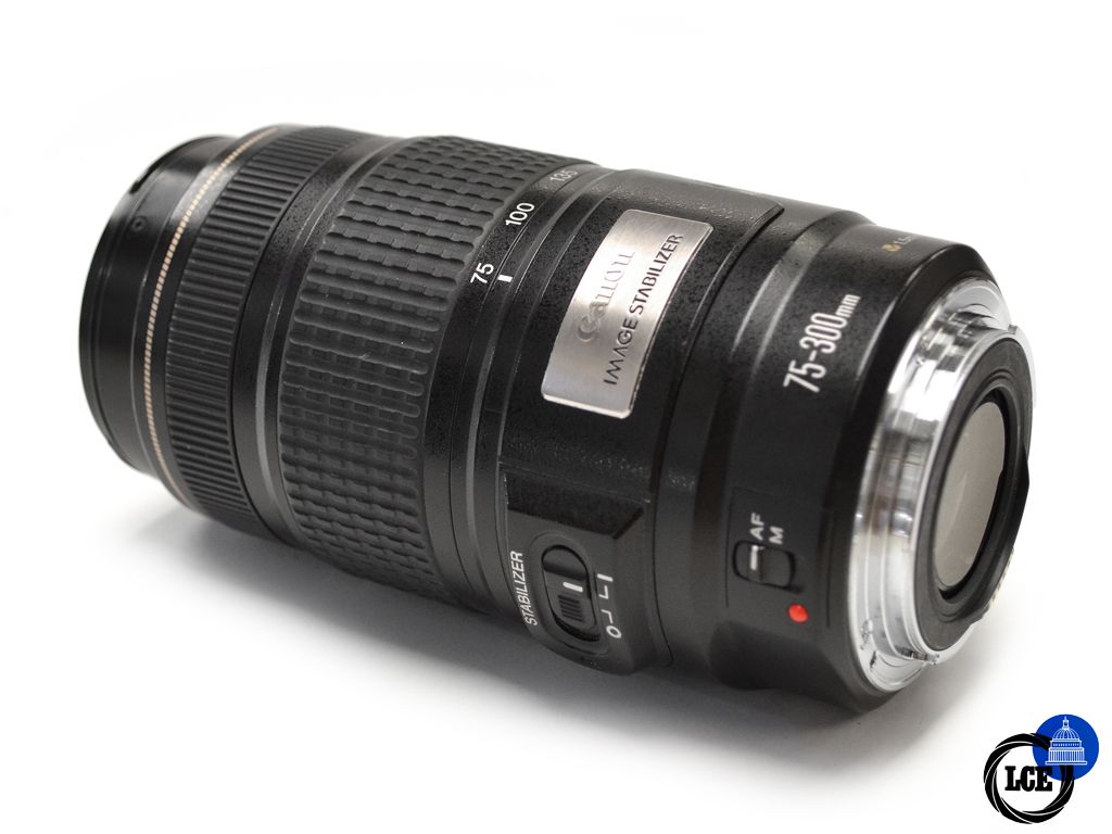 Canon EF 75-300mm IS F4-5.6