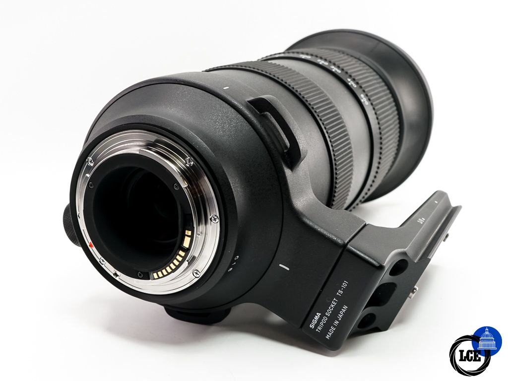 Sigma 60-600mm F4.5-6.3 DG OS HSM SPORT 