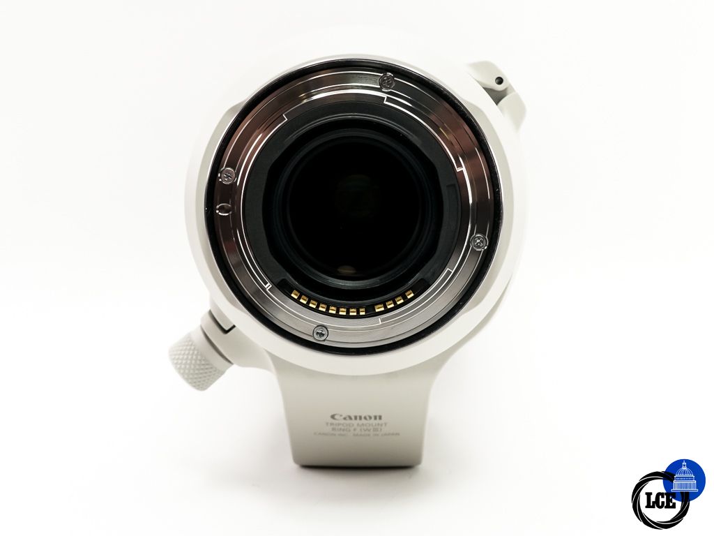 Canon RF 100-500mm F4.5-7.1 L IS USM 