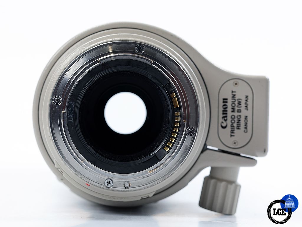 Canon EF 100-400mm f/4.5-5.6 L IS | 1276908