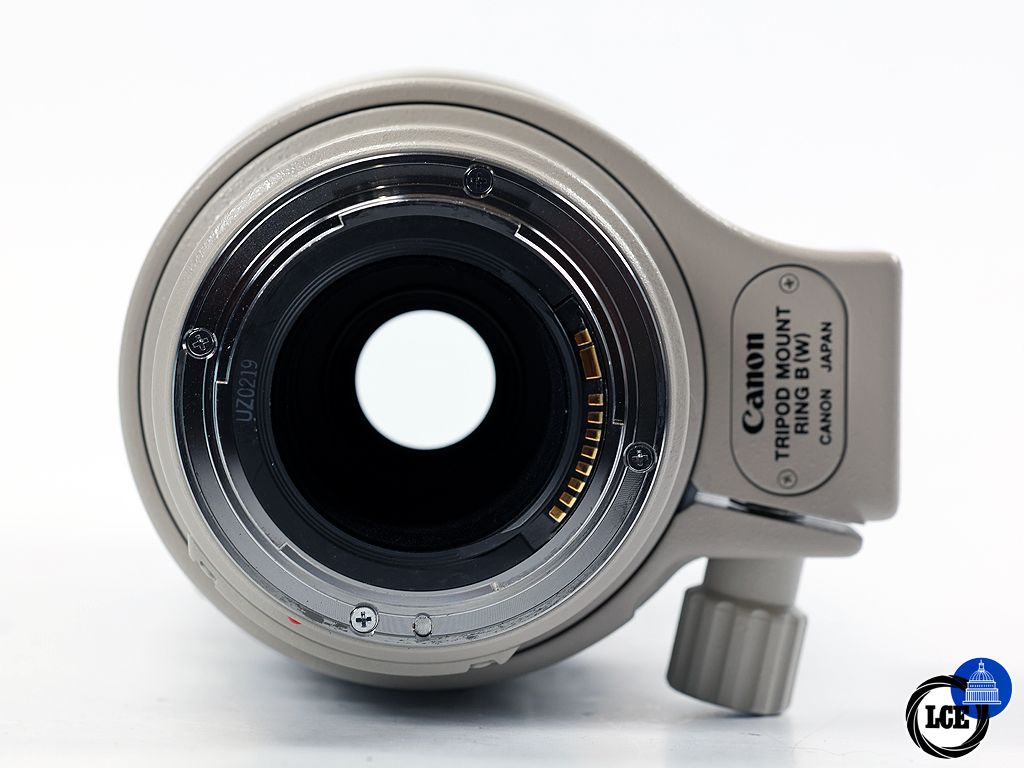 Canon EF 100-400mm f/4.5-5.6 L IS | 1276926