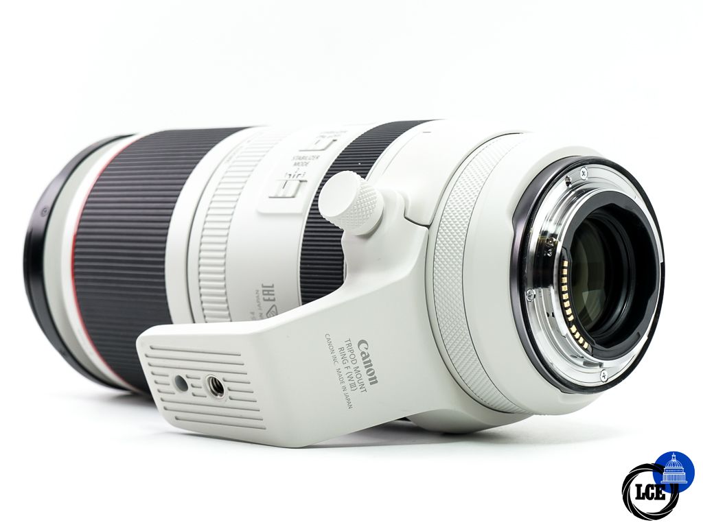 Canon RF 100-500mm F4.5-7.1 L IS USM