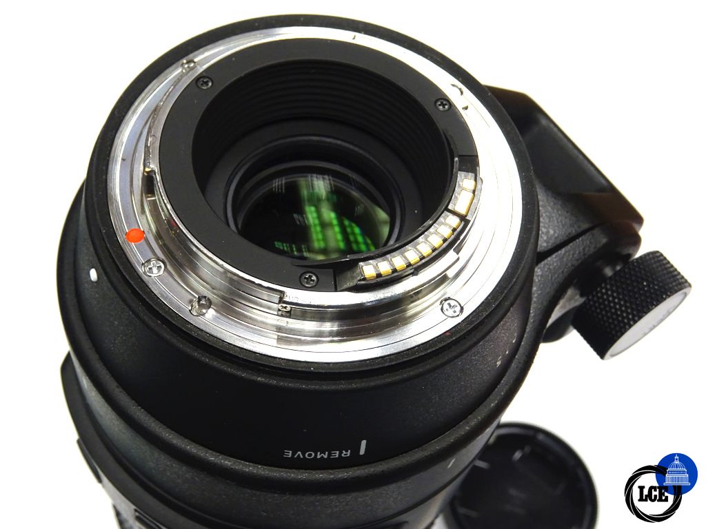 Sigma 150-600mm f 5.6-6.3 DG + Teleconverter 1.4 