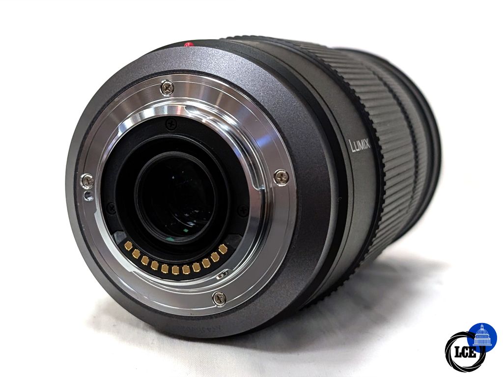 Panasonic Lumix 100-300mm f4-5.6 G Vario