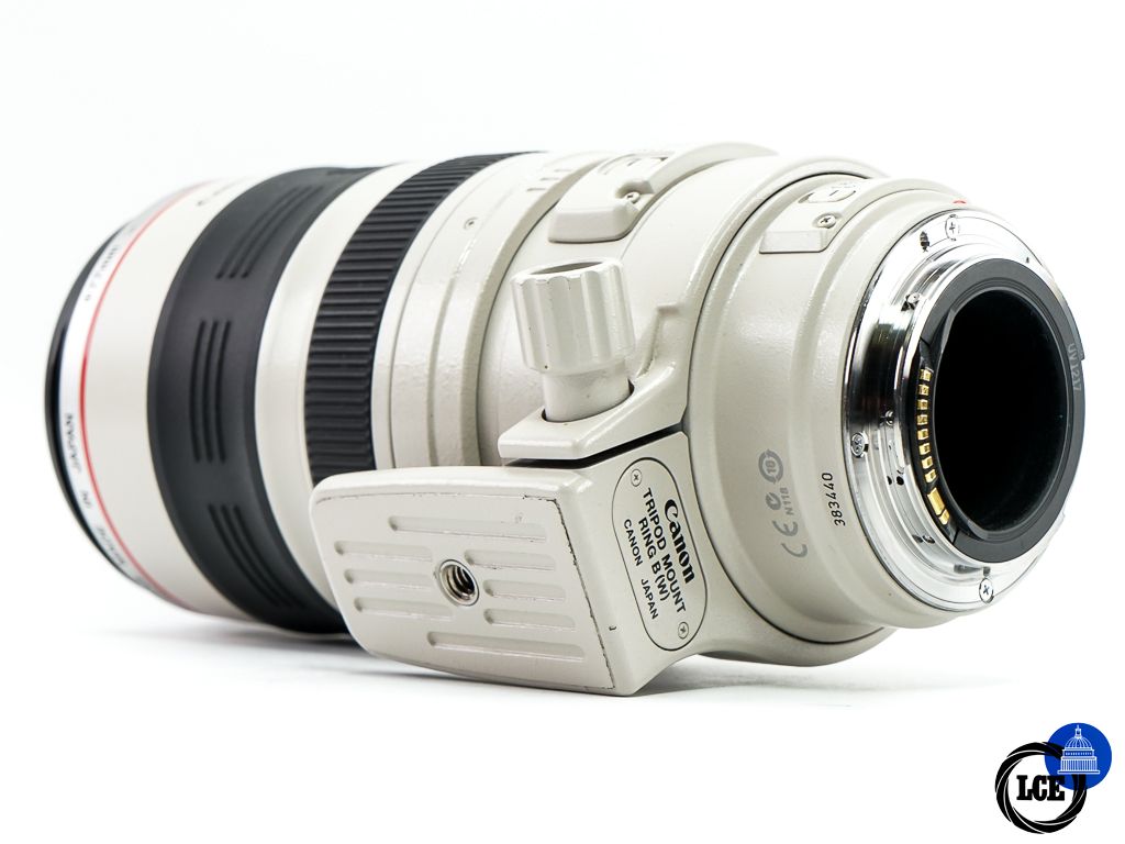 Canon EF 100-400mm f4.5-5.6 L IS USM
